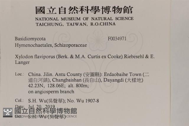 登錄號:F0034971藏品圖，第2張