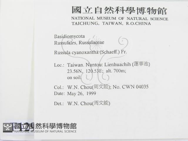 登錄號:F0012971藏品圖，第2張