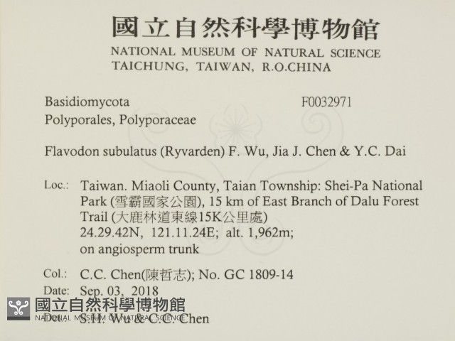 登錄號:F0032971藏品圖，第2張