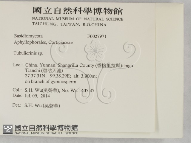 登錄號:F0027971藏品圖，第2張