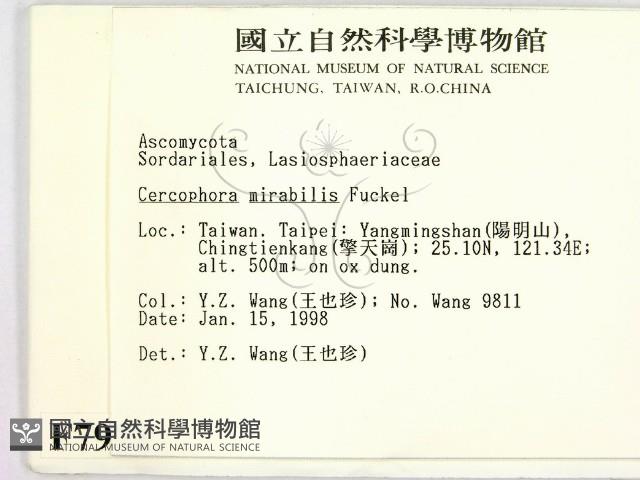 登錄號:F0007971藏品圖，第2張