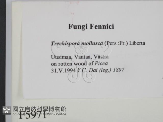 登錄號:F0005971藏品圖，第2張