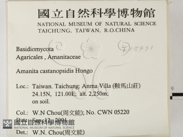 登錄號:F0015971藏品圖，第2張