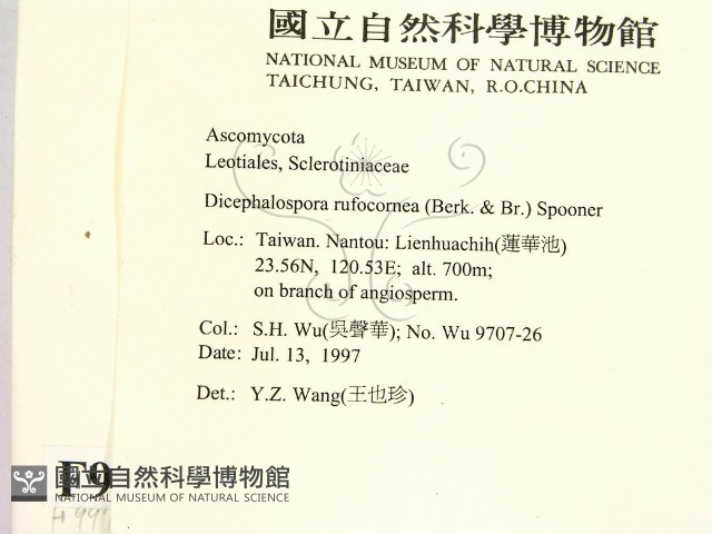 登錄號:F0009971藏品圖，第2張