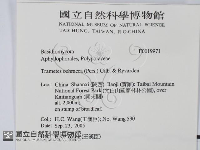登錄號:F0019971藏品圖，第2張