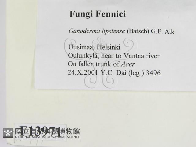 登錄號:F0013971藏品圖，第2張