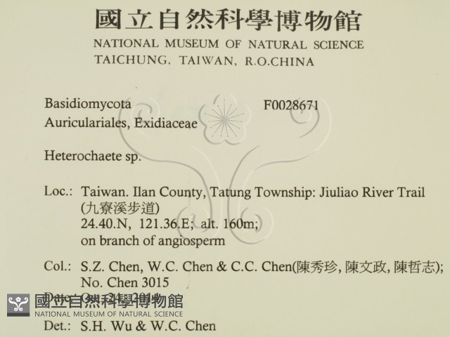 刺皮菌屬藏品圖，第2張