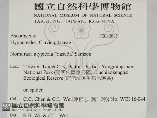 登錄號:F0030671藏品圖，第2張