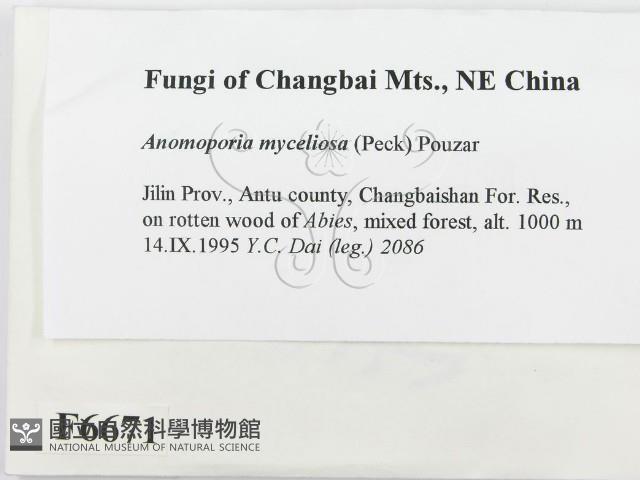 登錄號:F0006671藏品圖，第2張