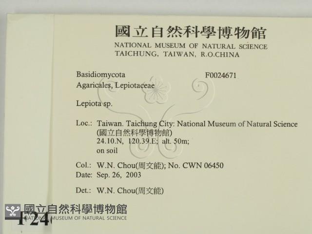 登錄號:F0024671藏品圖，第2張