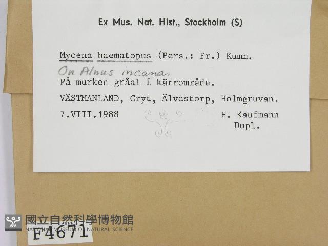 登錄號:F0004671藏品圖，第2張