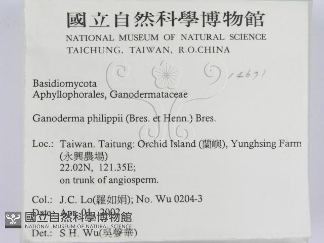 登錄號:F0014671藏品圖，第2張