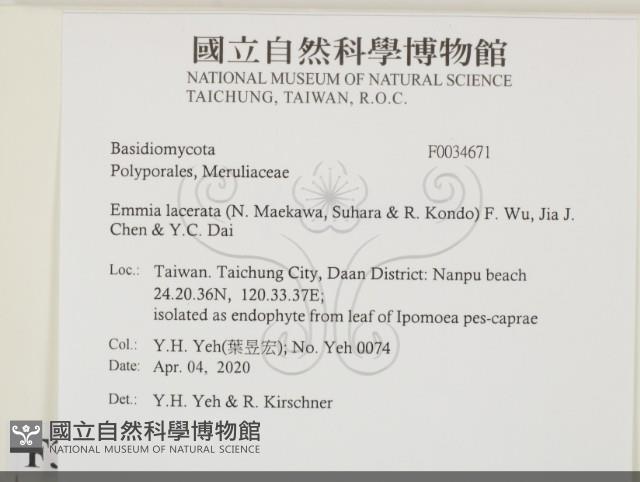 登錄號:F0034671藏品圖，第2張