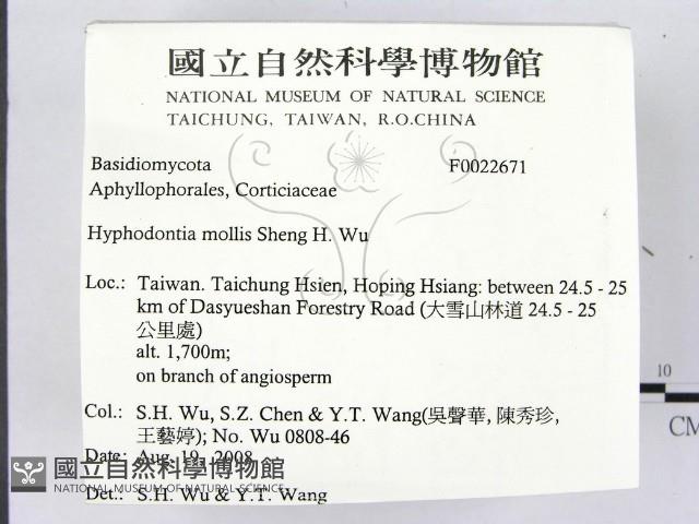 登錄號:F0022671藏品圖，第2張