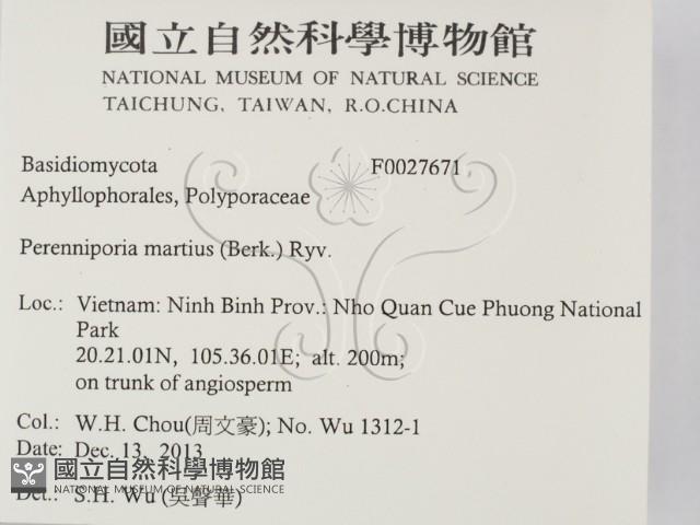 登錄號:F0027671藏品圖，第2張
