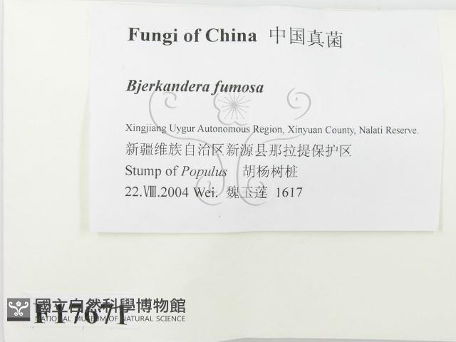 登錄號:F0017671藏品圖，第2張