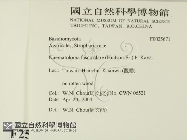 登錄號:F0025671藏品圖，第2張