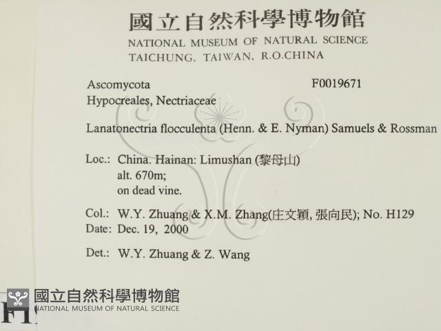 登錄號:F0019671藏品圖，第2張