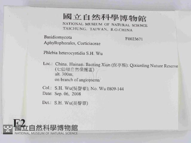 登錄號:F0023671藏品圖，第2張