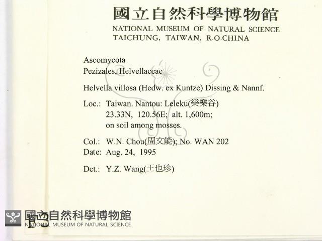 登錄號:F0003671藏品圖，第2張