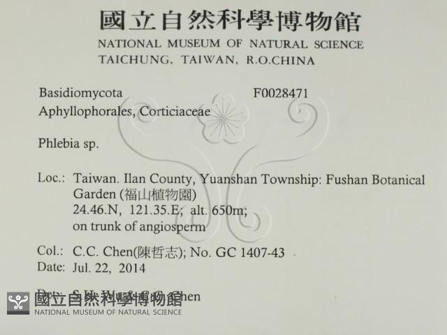 登錄號:F0028471藏品圖，第2張