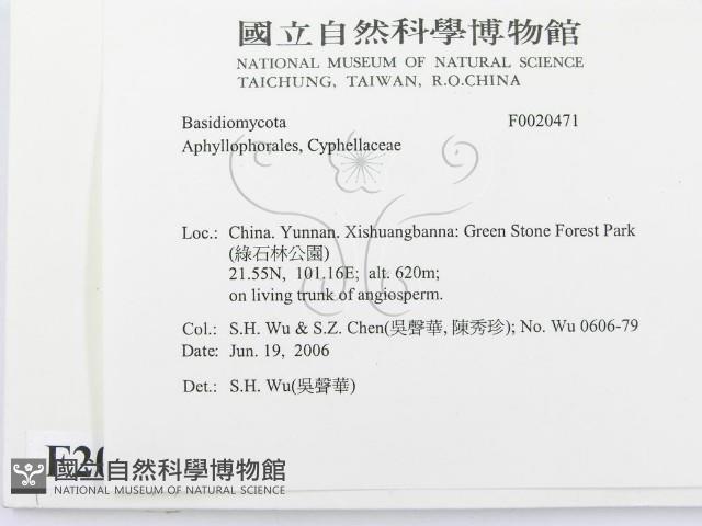 登錄號:F0020471藏品圖，第2張