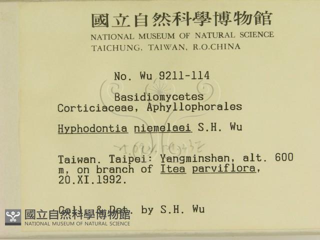 登錄號:F0000471藏品圖，第2張