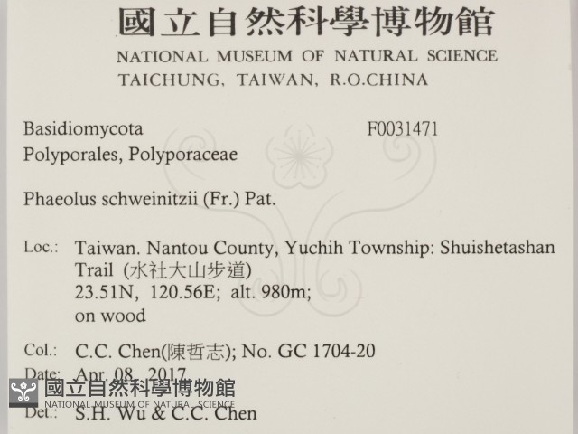 登錄號:F0031471藏品圖，第2張