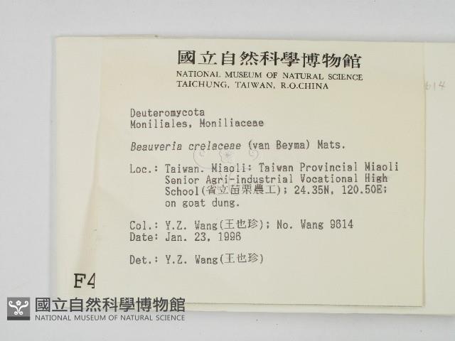 登錄號:F0004471藏品圖，第2張