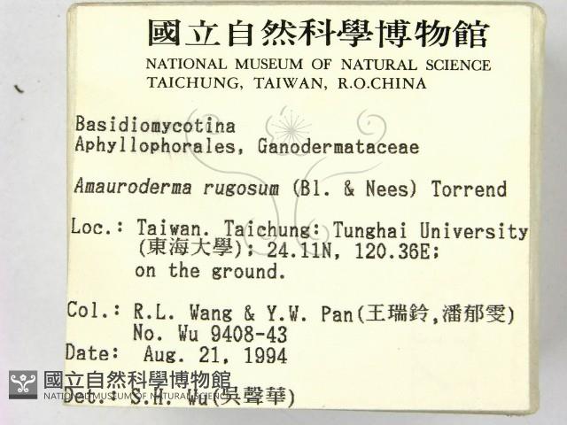 登錄號:F0002471藏品圖，第2張