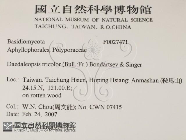 登錄號:F0027471藏品圖，第2張