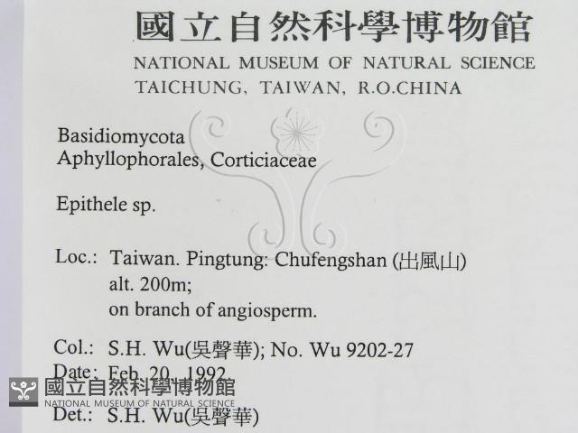 登錄號:F0015471藏品圖，第2張