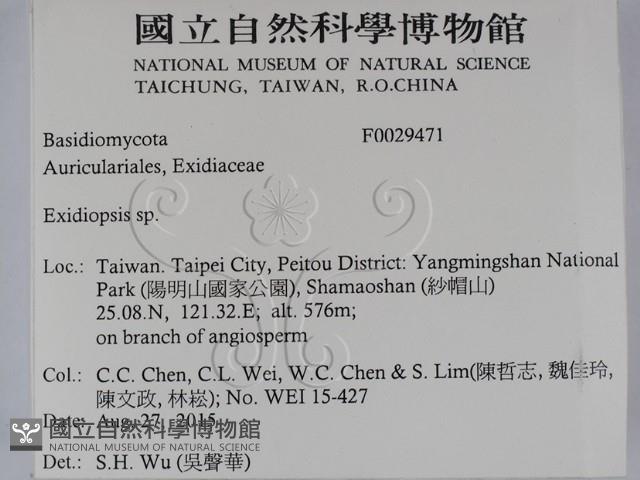 登錄號:F0029471藏品圖，第2張