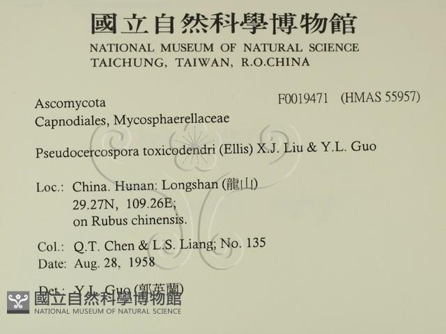 登錄號:F0019471藏品圖，第2張