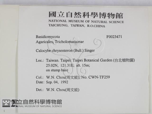 登錄號:F0023471藏品圖，第2張