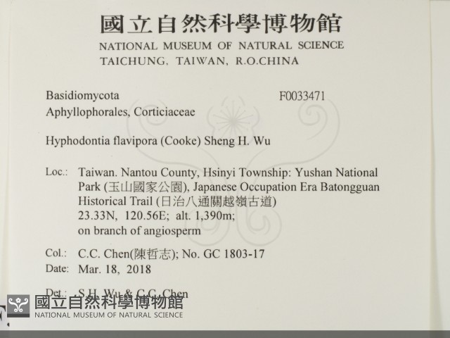 登錄號:F0033471藏品圖，第2張