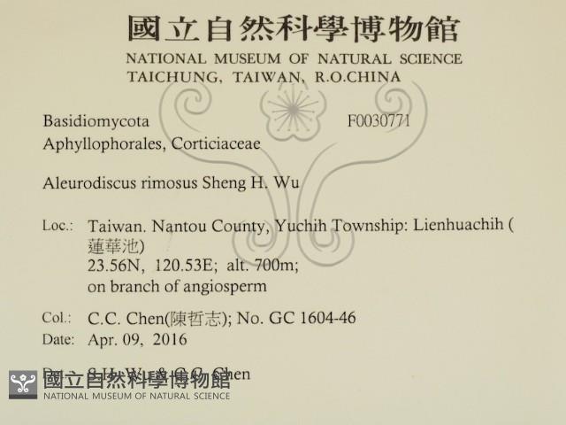 登錄號:F0030771藏品圖，第2張