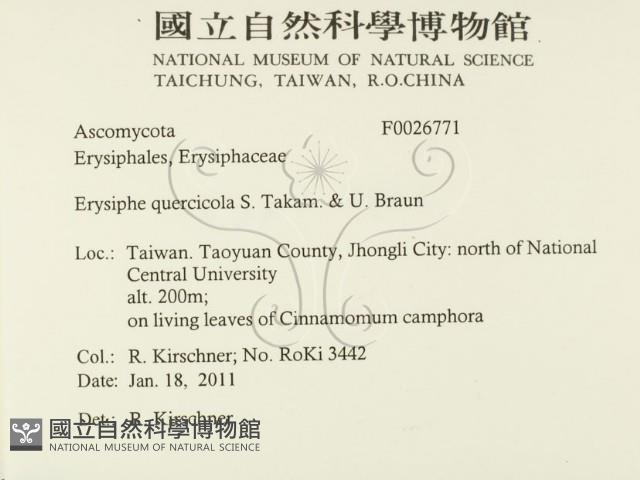 登錄號:F0026771藏品圖，第2張