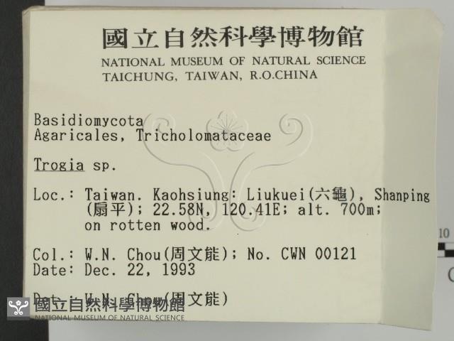 登錄號:F0001771藏品圖，第2張