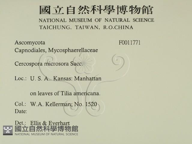 登錄號:F0011771藏品圖，第2張