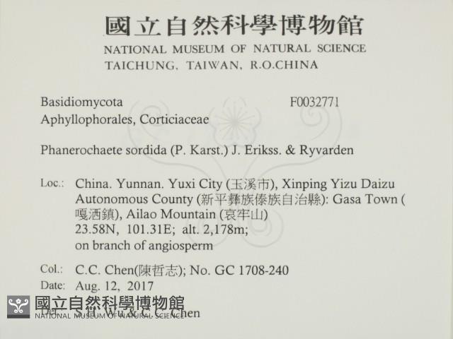 登錄號:F0032771藏品圖，第2張