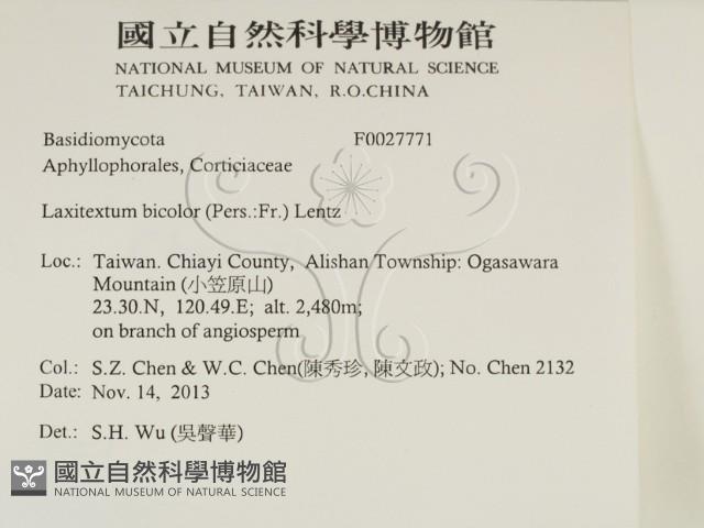 登錄號:F0027771藏品圖，第2張