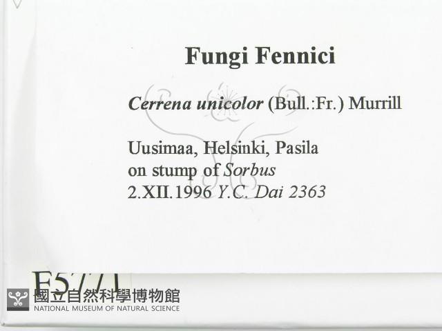 登錄號:F0005771藏品圖，第2張