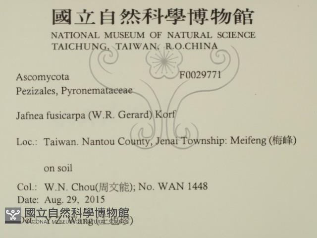 登錄號:F0029771藏品圖，第2張