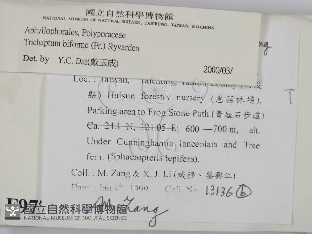 登錄號:F0009771藏品圖，第2張