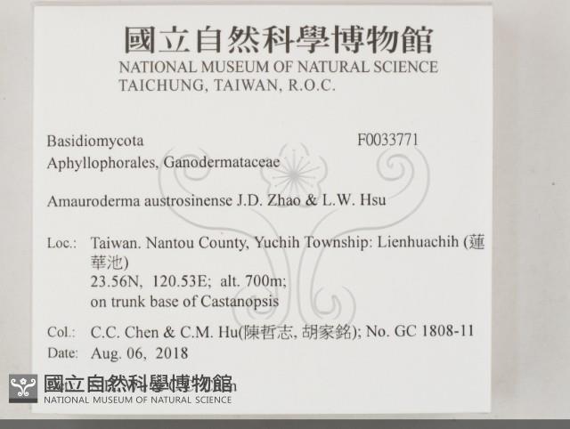 登錄號:F0033771藏品圖，第2張