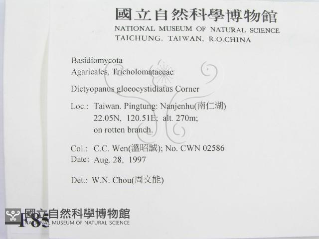 登錄號:F0008571藏品圖，第2張