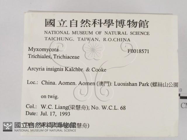 登錄號:F0018571藏品圖，第2張