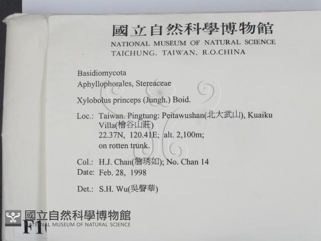 登錄號:F0010571藏品圖，第2張