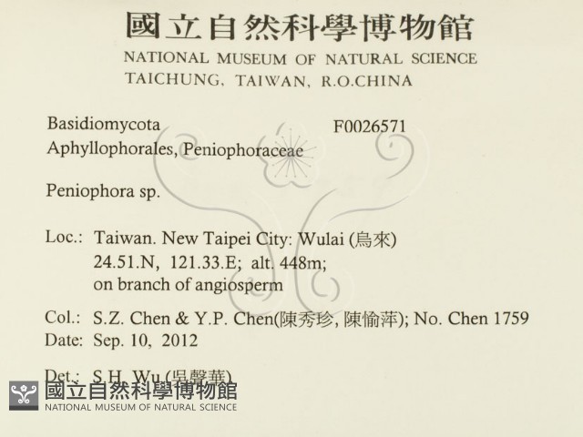 筍殼菌屬藏品圖，第2張
